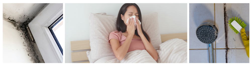 Fungal mold growth on a wall corner near a window in a home.
Woman in bed suffering from allergies, blowing her nose, indicating health risks from mold exposure.
Black mold on bathroom walls and shower area caused by humidity and poor ventilation, highlighting the need for duct cleaning to prevent bacterial buildup.